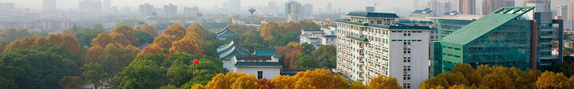 与本港台同步看现场直播新人权益自然科