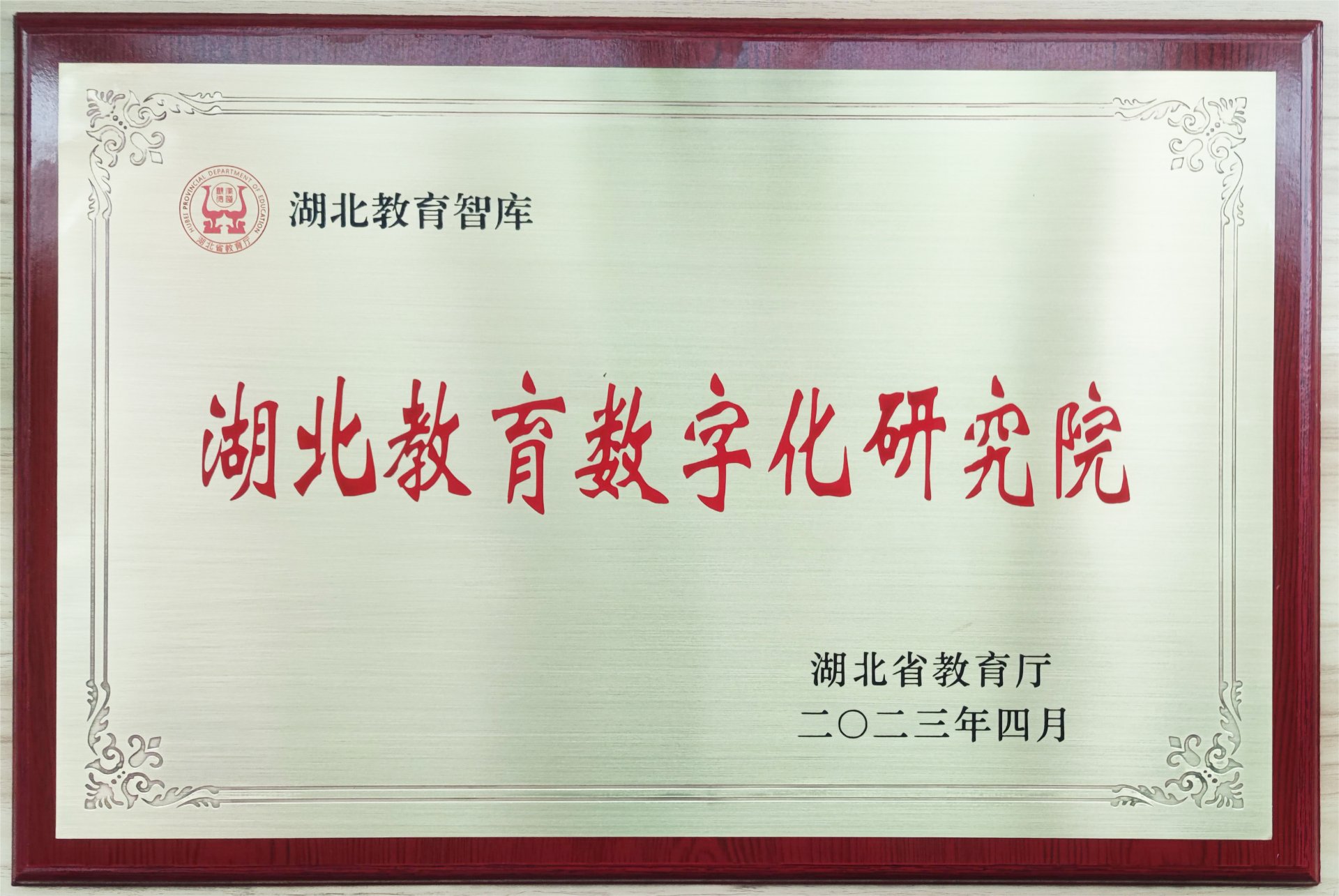 与本港台同步看现场直播
