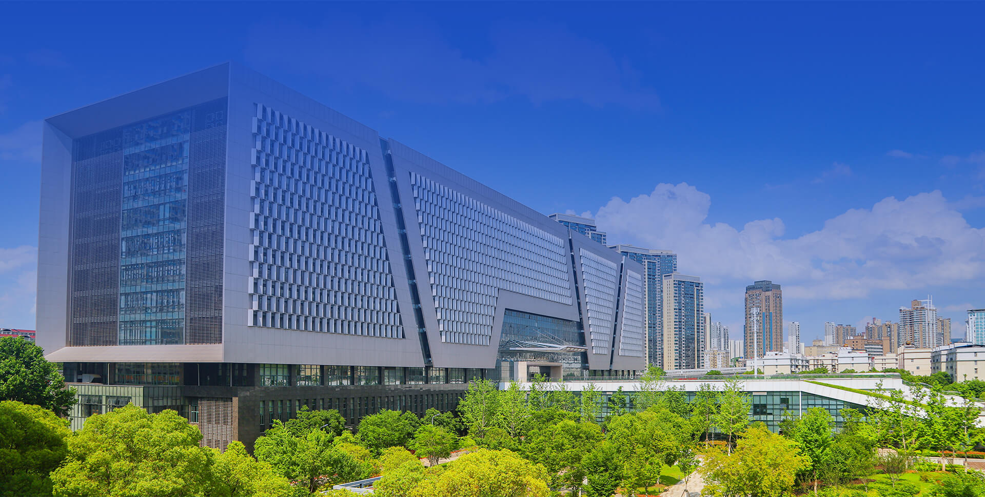 哈尔滨工业大学秦兵教授